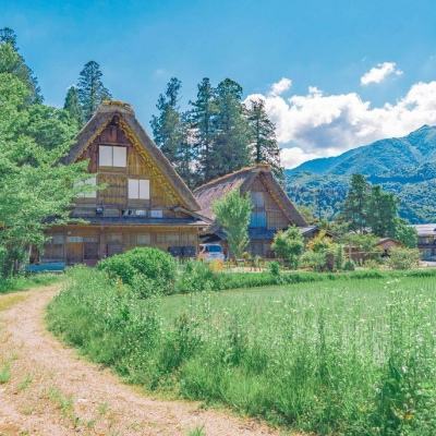 OB官网登录入口截图